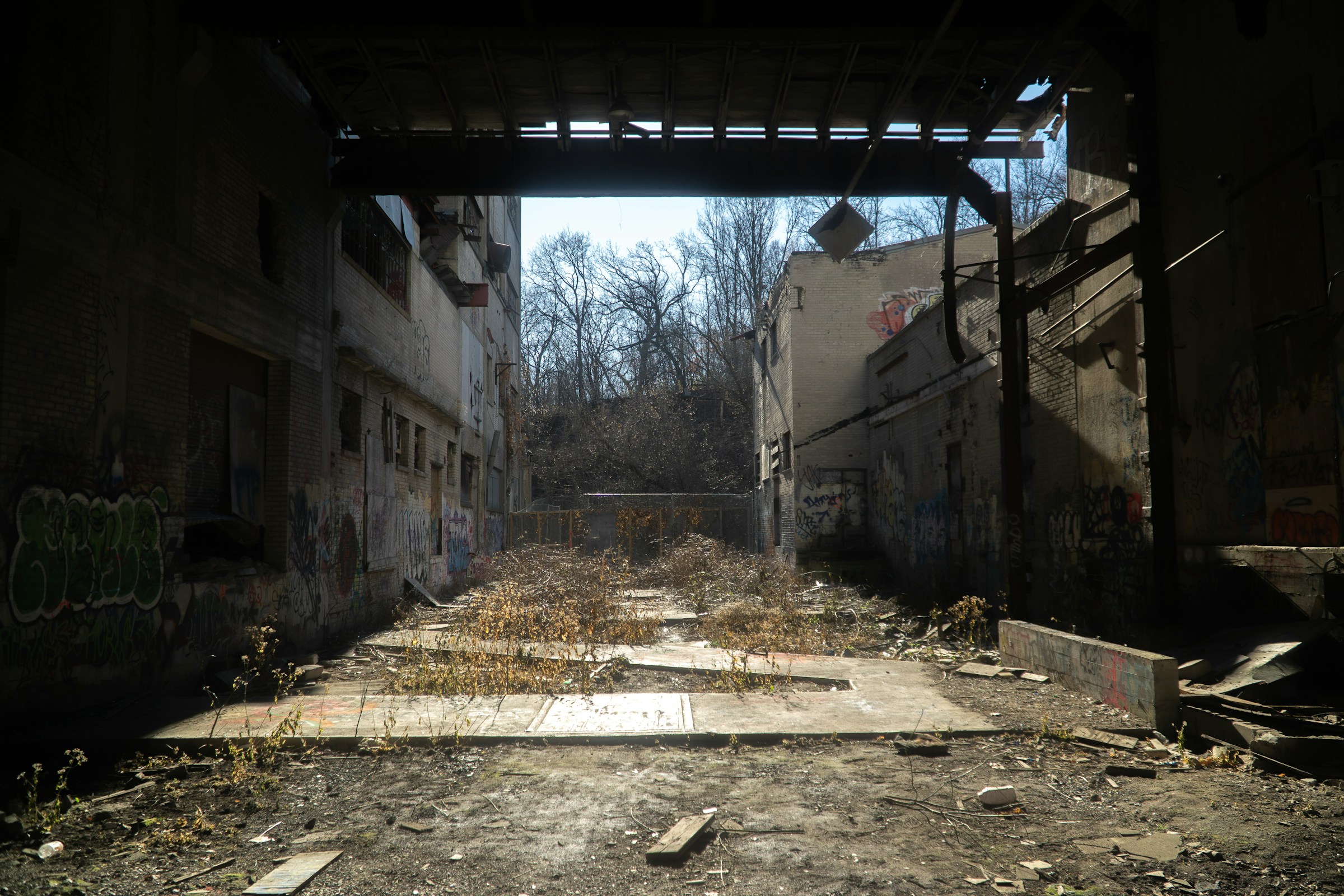 Visual Aesthetics Banner